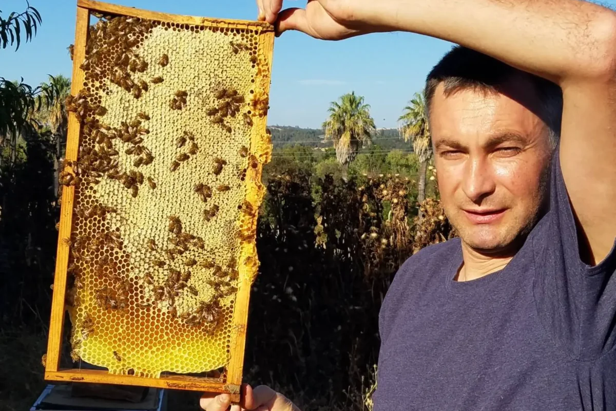 viber_image_2023-08-09_11-49-50-500