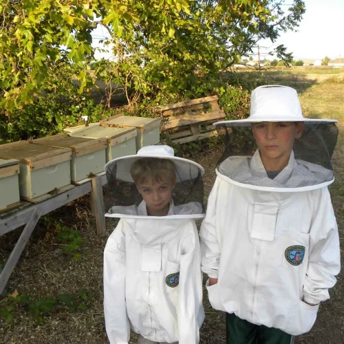 viber_image_2023-08-09_11-49-50-938