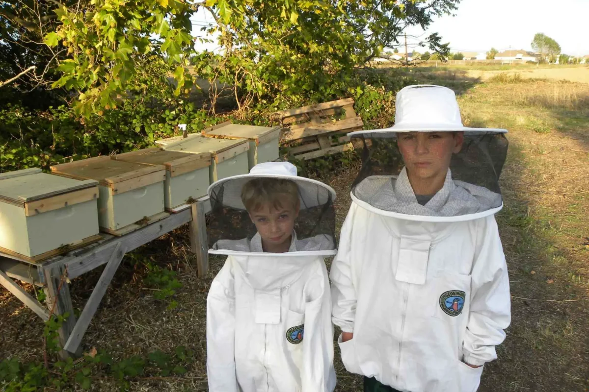 viber_image_2023-08-09_11-49-50-938