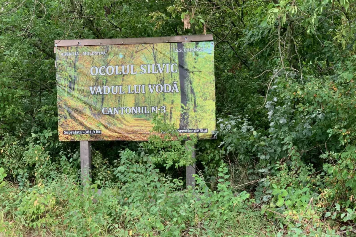 viber_image_2023-08-09_11-49-51-280