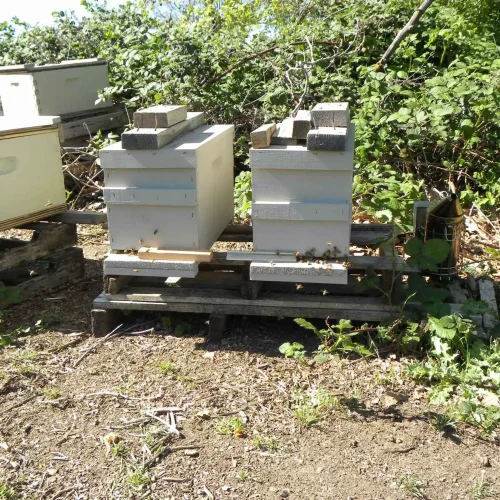 viber_image_2023-08-09_11-50-00-387