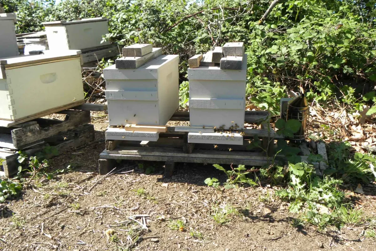 viber_image_2023-08-09_11-50-00-387