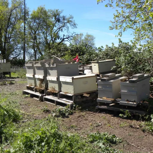 viber_image_2023-08-09_11-50-01-046